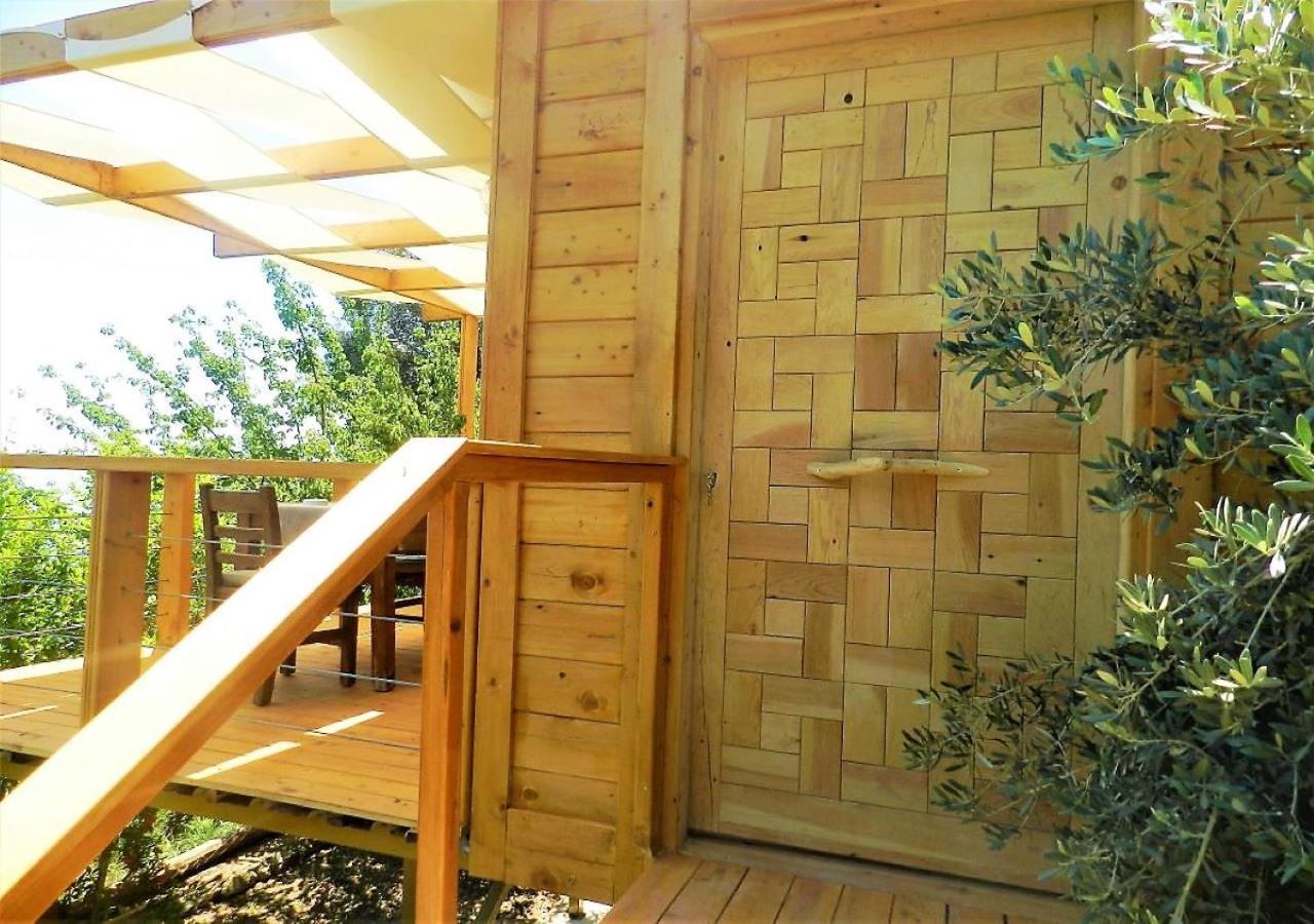 Motel Kabak Misafir Evi Faralya Exteriér fotografie